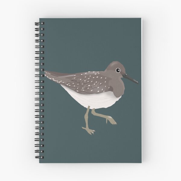 Item preview, Solitary Sandpiper Wading (Fall/Non-Breeding Plumage) designed and sold by BDBirds.