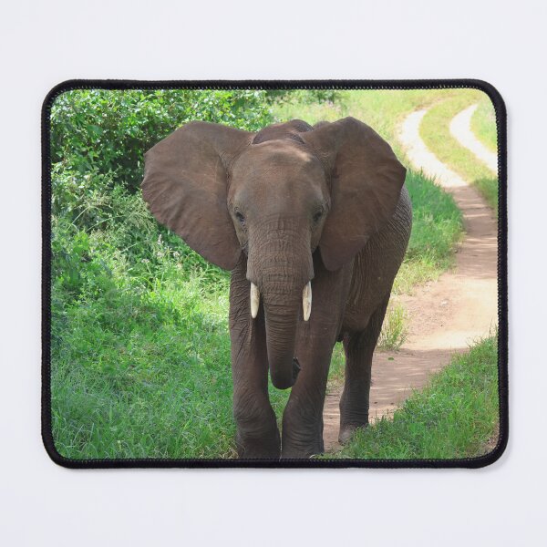 Item preview, Keep Your Eyes on the Road designed and sold by KristalStittle.