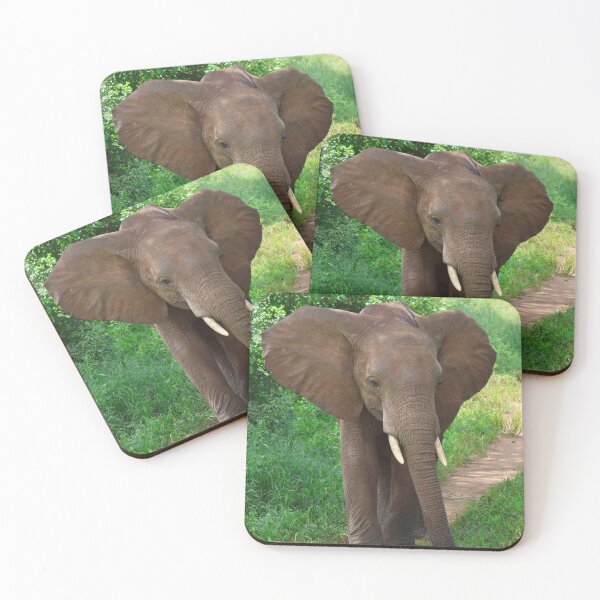 Item preview, A Curious Youthful Elephant designed and sold by KristalStittle.