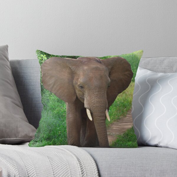 Item preview, A Curious Youthful Elephant designed and sold by KristalStittle.