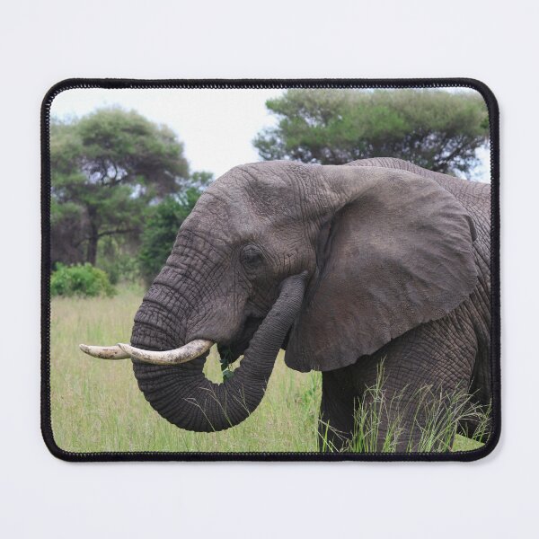 Item preview, Who's He Talking To? designed and sold by KristalStittle.