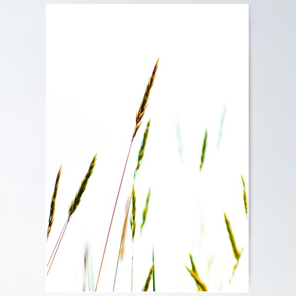 Item preview, Almost White designed and sold by steffen.