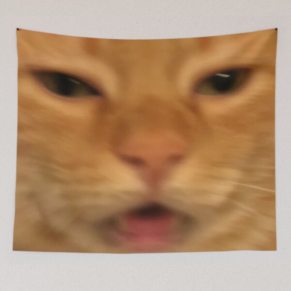 Item preview, Funny Orange Cat Face Meme Humor Blurry Photo designed and sold by LuveeTuffCo.