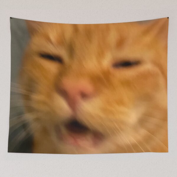 Item preview, Funny Orange Cat Face Meme Humor Blurry Photo designed and sold by LuveeTuffCo.