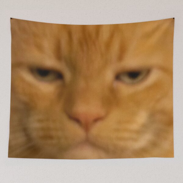 Item preview, Funny Orange Cat Face Meme Blurry Photo Humor designed and sold by LuveeTuffCo.