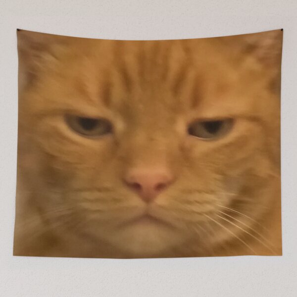 Item preview, Funny Disappointed Cat Face Meme Blurry Photo designed and sold by LuveeTuffCo.