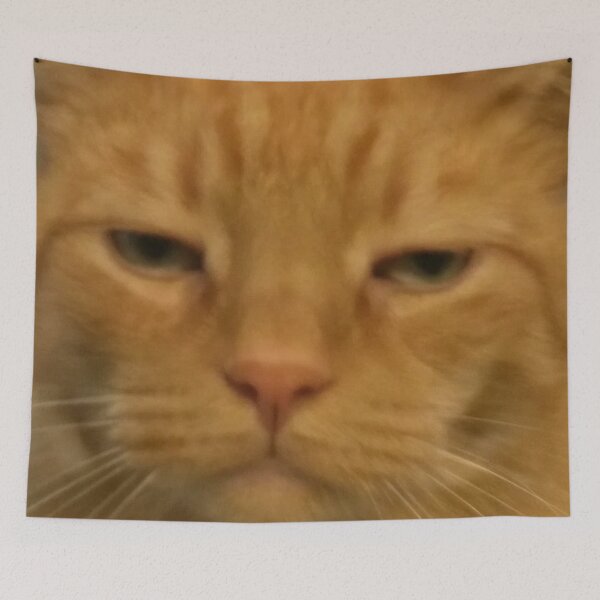 Item preview, Funny Disapproving Orange Cat Face Meme Humor designed and sold by LuveeTuffCo.