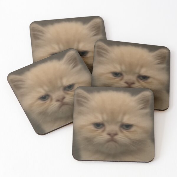 Item preview, Funny Disapproving Kitten Cat Face Meme Humor designed and sold by LuveeTuffCo.
