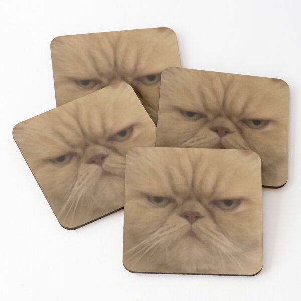 Item preview, Funny Persian Cat Face Closeup Meme Blurry Picture designed and sold by LuveeTuffCo.