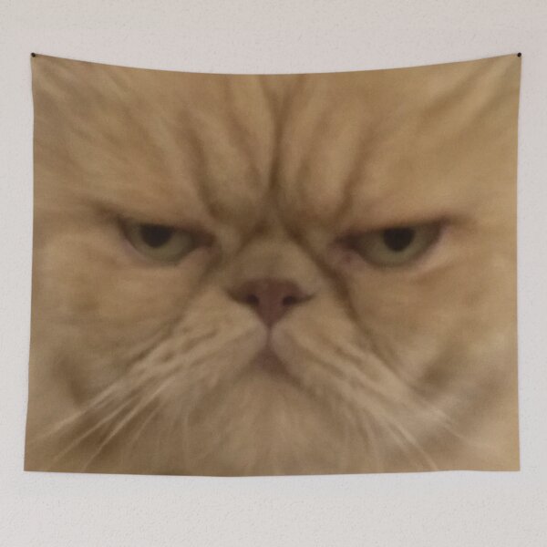 Item preview, Funny Persian Cat Face Closeup Meme Blurry Picture designed and sold by LuveeTuffCo.