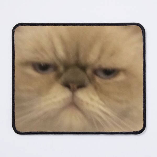 Item preview, Funny Angry Persian Cat Face Closeup Meme Blurry Photo designed and sold by LuveeTuffCo.