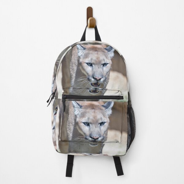 Item preview, Wild Puma in Natural Habitat designed and sold by Savannah Gibbs.