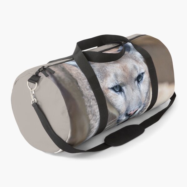 Item preview, Wild Puma in Natural Habitat designed and sold by Savannah Gibbs.