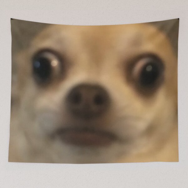 Item preview, Funny Awkward Surprised Chihuahua Dog Meme designed and sold by LuveeTuffCo.