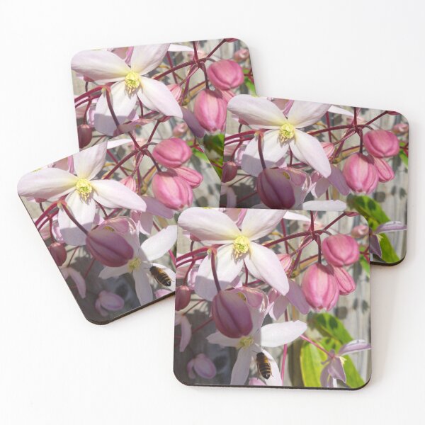 Item preview, Bee visiting a clematis flower. designed and sold by claireseyeview.