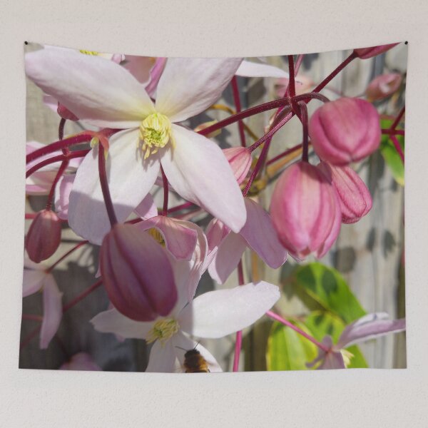 Item preview, Bee visiting a clematis flower. designed and sold by claireseyeview.
