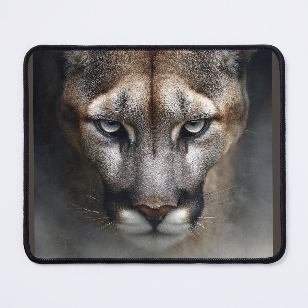 Item preview, Majestic Cougar Stare designed and sold by Savannah Gibbs.