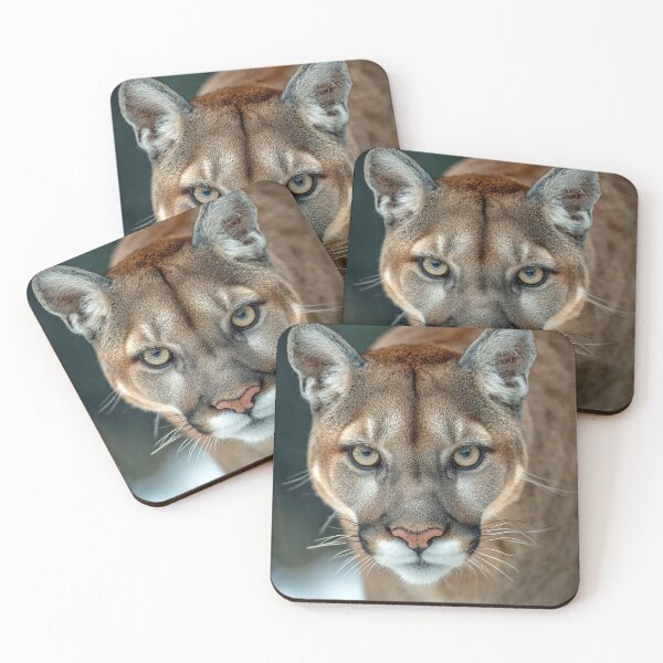 Item preview, Puma Staring Intensely Forward designed and sold by Savannah Gibbs.