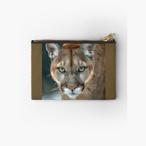 Item preview, Puma Staring Intensely Forward designed and sold by Savannah Gibbs.