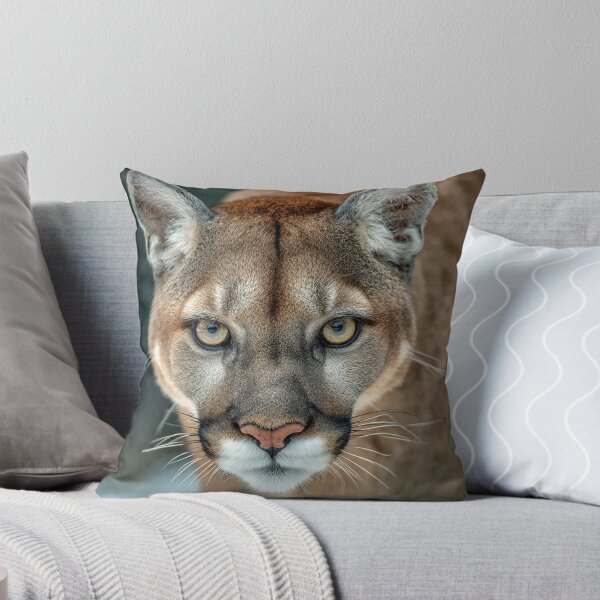 Item preview, Puma Staring Intensely Forward designed and sold by Savannah Gibbs.