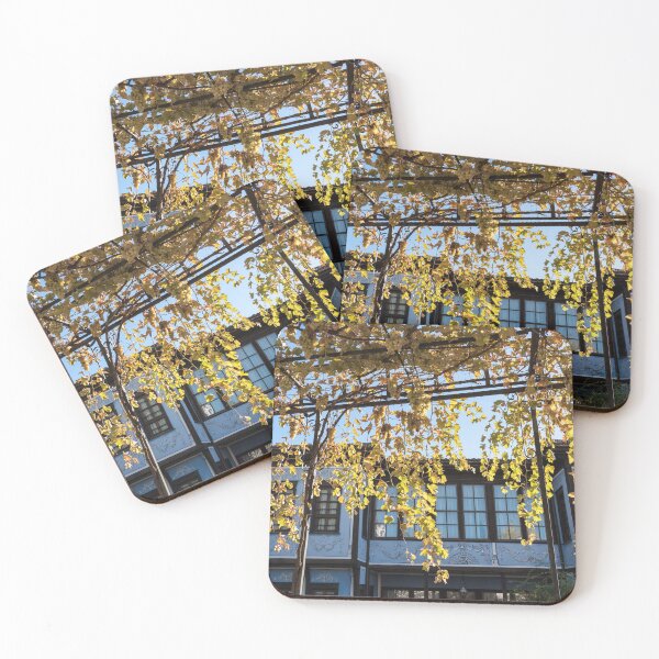 Item preview, Sunlit Grapevine Pergola Over Charming Blue House designed and sold by Georgia Mizuleva.