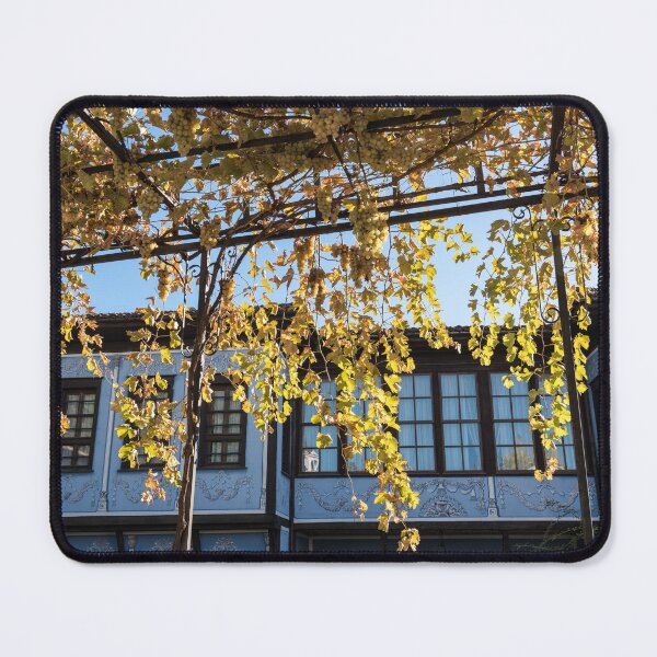 Item preview, Sunlit Grapevine Pergola Over Charming Blue House designed and sold by Georgia Mizuleva.