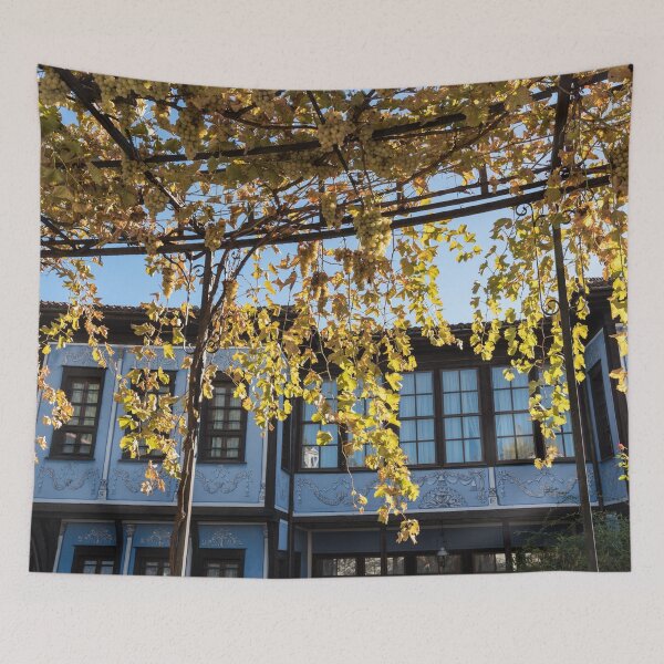 Item preview, Sunlit Grapevine Pergola Over Charming Blue House designed and sold by Georgia Mizuleva.