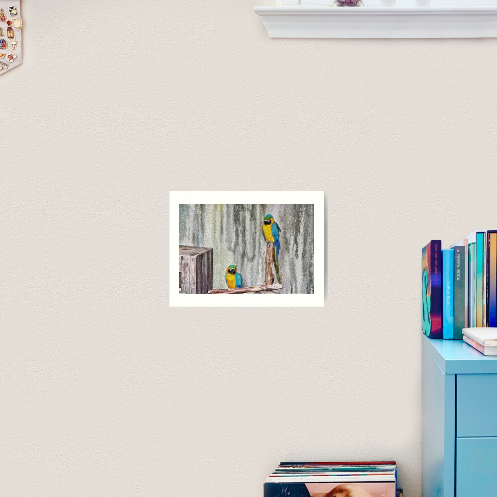 2 Parrots Drawing Art Print By Robspencer Redbubble