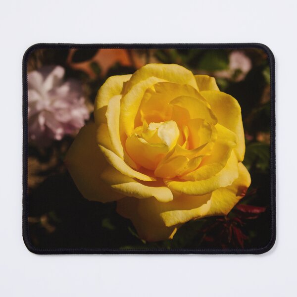 Item preview, Yellow Rose of Spring  designed and sold by SilentlyRob668.