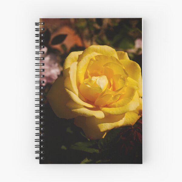 Item preview, Yellow Rose of Spring  designed and sold by SilentlyRob668.