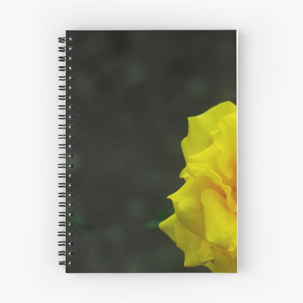 Item preview, A Yellow Rose of Spring  designed and sold by SilentlyRob668.