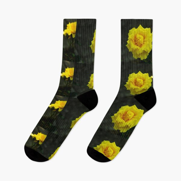 Item preview, A Yellow Rose of Spring  designed and sold by SilentlyRob668.