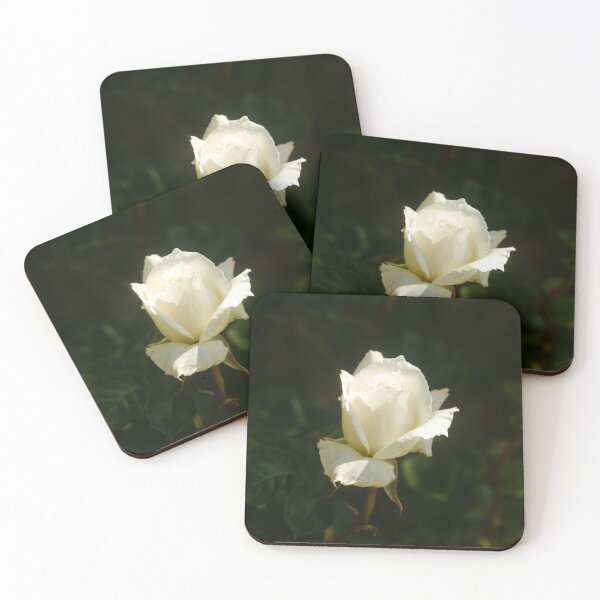 Item preview, White Rose of History  designed and sold by SilentlyRob668.