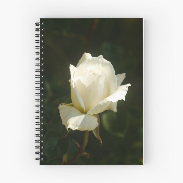 Item preview, White Rose of History  designed and sold by SilentlyRob668.