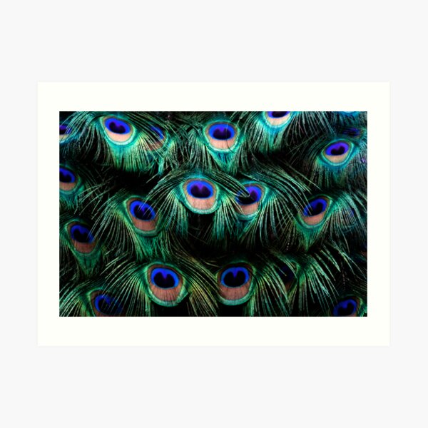 Glowing Eyes Art Print