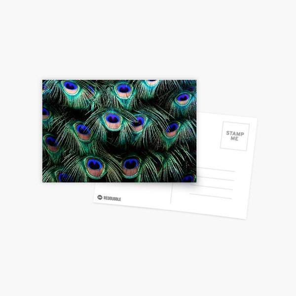 Glowing Eyes Postcard
