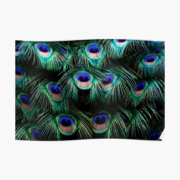 Glowing Eyes Poster