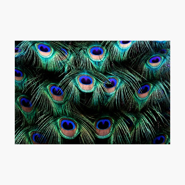 Glowing Eyes Photographic Print