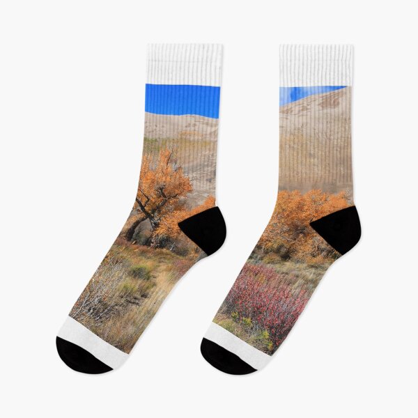 Item preview, Autumnal Great Sand Dunes designed and sold by zumi.