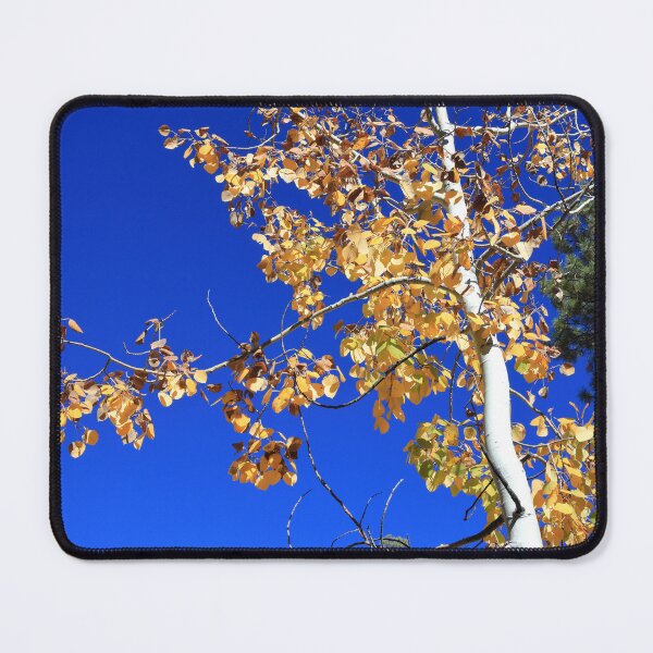 Item preview, Tres Piedras in New Mexico III designed and sold by zumi.