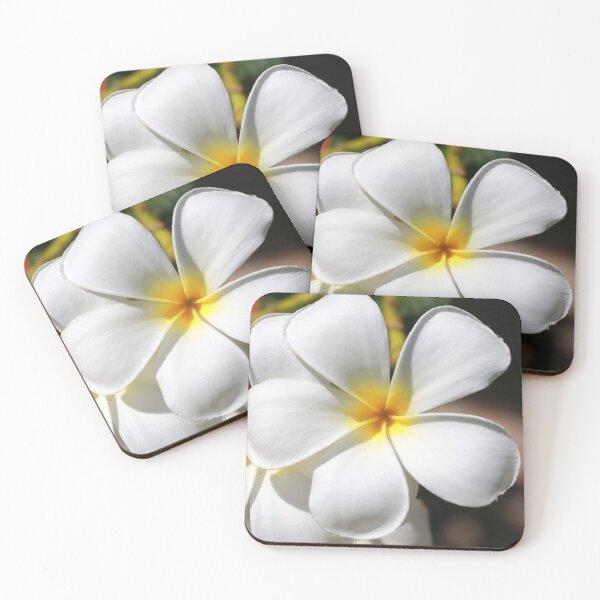 Item preview, Frangipani flower designed and sold by zumi.