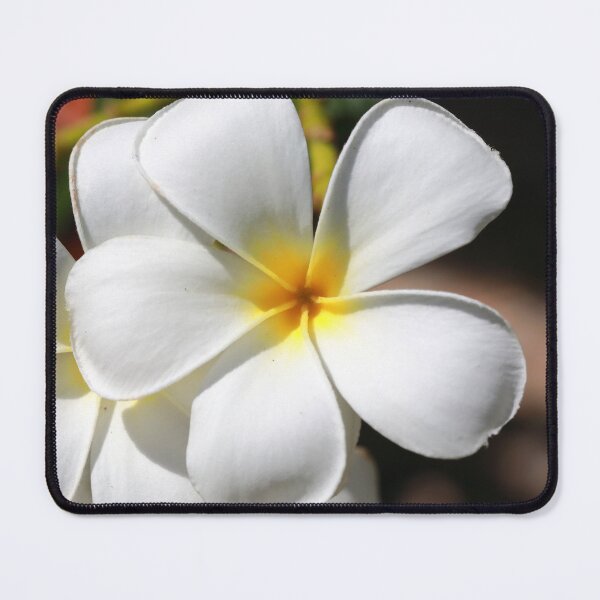 Item preview, Frangipani flower designed and sold by zumi.