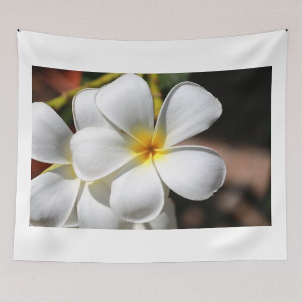 Item preview, Frangipani flower designed and sold by zumi.