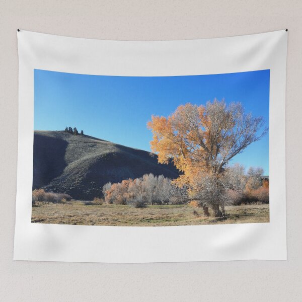 Item preview, Autumnal nature II designed and sold by zumi.
