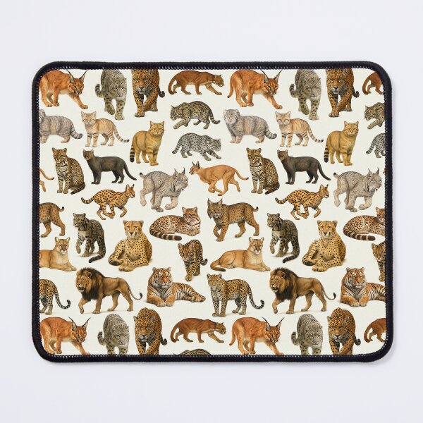 Item preview, Wild Cats of the World Illustration Chart designed and sold by kakarikihill.
