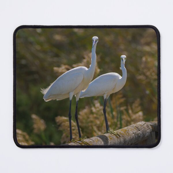 Item preview, I think they've spotted me designed and sold by Ralph Goldsmith.
