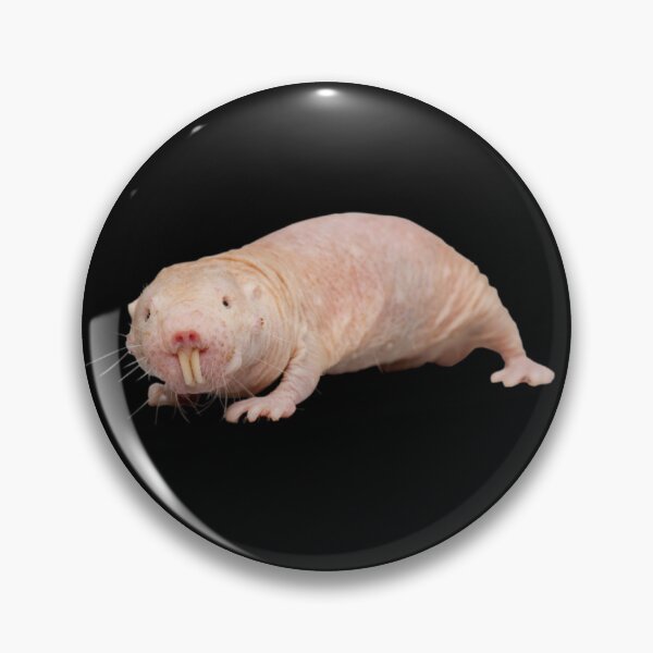 Item preview, Naked mole rat designed and sold by ubaDesigns.