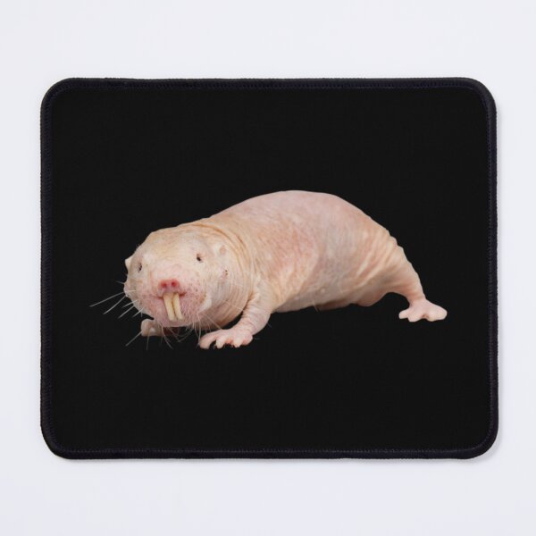 Item preview, Naked mole rat designed and sold by ubaDesigns.