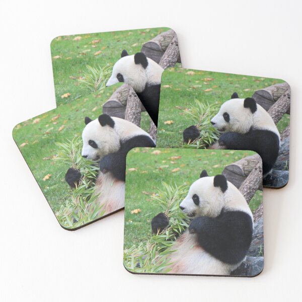 Item preview, Munching Bamboo designed and sold by Alexandra Lavizzari.