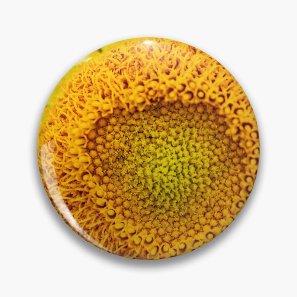 Item preview, Everlasting Daisy Yellow Flower designed and sold by ea-photos.
